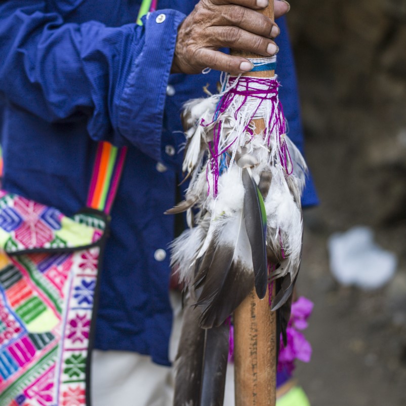 Plumas